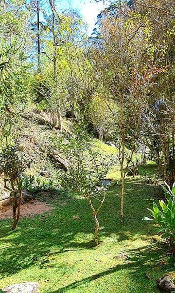 Rural à venda com 10000m² de terreno no Mury, Nova Friburgo (RJ) — foto 21 de 23