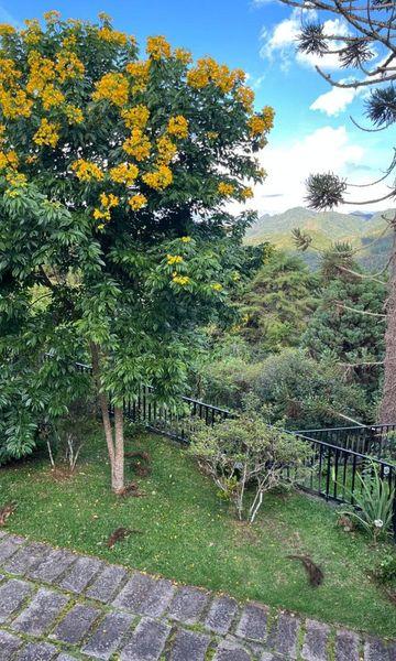 Casa à venda com 4 quartos, 1 suíte, 4 vagas e 225m² no Mury, Nova Friburgo (RJ) — foto 27 de 30