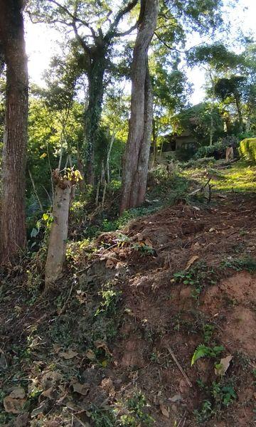 Terreno à venda com 363m² de terreno no Amparo, Nova Friburgo (RJ) — foto 3 de 11