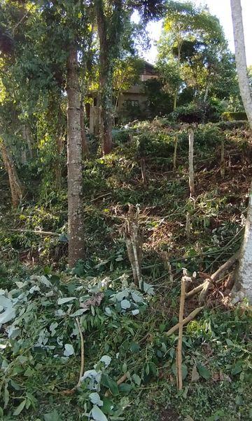 Terreno à venda com 363m² de terreno no Amparo, Nova Friburgo (RJ) — foto 4 de 11