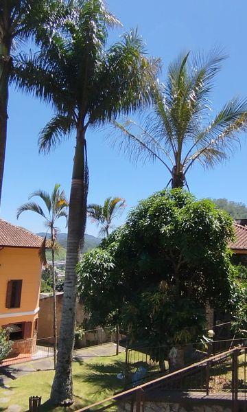 Casa à venda com 4 quartos, 3 suítes, 6 vagas e 615m² no Jardim Marajói, Nova Friburgo (RJ) — foto 11 de 30