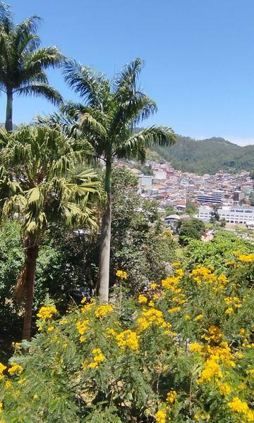 Casa à venda com 4 quartos, 3 suítes, 6 vagas e 615m² no Jardim Marajói, Nova Friburgo (RJ) — foto 29 de 30