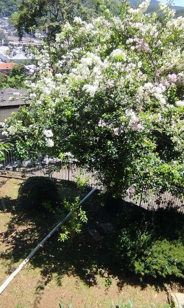 Casa à venda com 4 quartos, 3 suítes, 6 vagas e 615m² no Jardim Marajói, Nova Friburgo (RJ) — foto 3 de 30