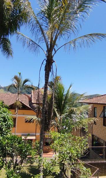 Casa à venda com 4 quartos, 3 suítes, 6 vagas e 615m² no Jardim Marajói, Nova Friburgo (RJ) — foto 9 de 30