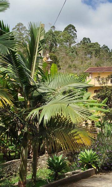 Rural à venda com 150m² de terreno no Amparo, Nova Friburgo — foto principal