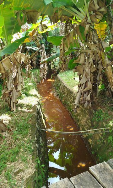 Rural à venda com 150m² de terreno no Amparo, Nova Friburgo (RJ) — foto 17 de 30