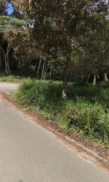 Rural à venda com 150m² de terreno no Amparo, Nova Friburgo (RJ) — foto 19 de 30