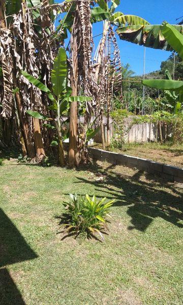 Rural à venda com 150m² de terreno no Amparo, Nova Friburgo (RJ) — foto 22 de 30