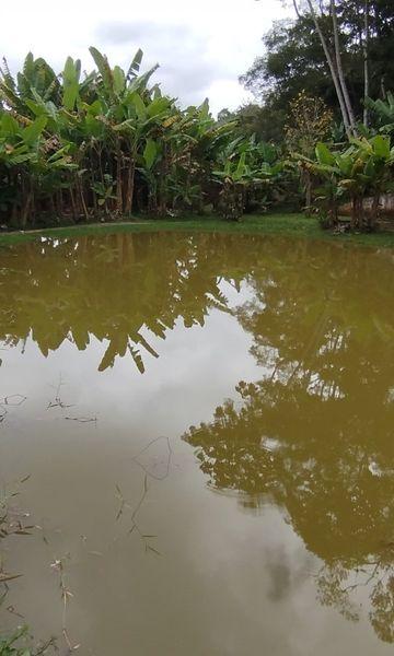 Rural à venda com 150m² de terreno no Amparo, Nova Friburgo (RJ) — foto 24 de 30
