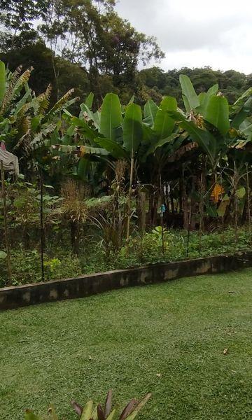 Rural à venda com 150m² de terreno no Amparo, Nova Friburgo (RJ) — foto 26 de 30