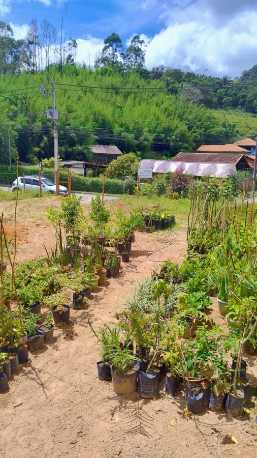 Terreno à venda com 380m² de terreno no São Pedro da Serra, Nova Friburgo (RJ) — foto 2 de 6