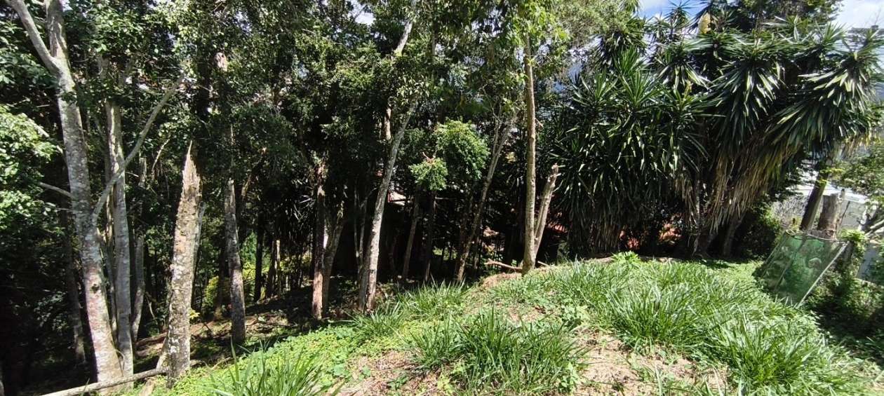 Terreno à venda com 540m² de terreno no Braunes, Nova Friburgo — foto principal