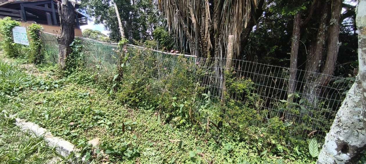 Terreno à venda com 540m² de terreno no Braunes, Nova Friburgo (RJ) — foto 5 de 8