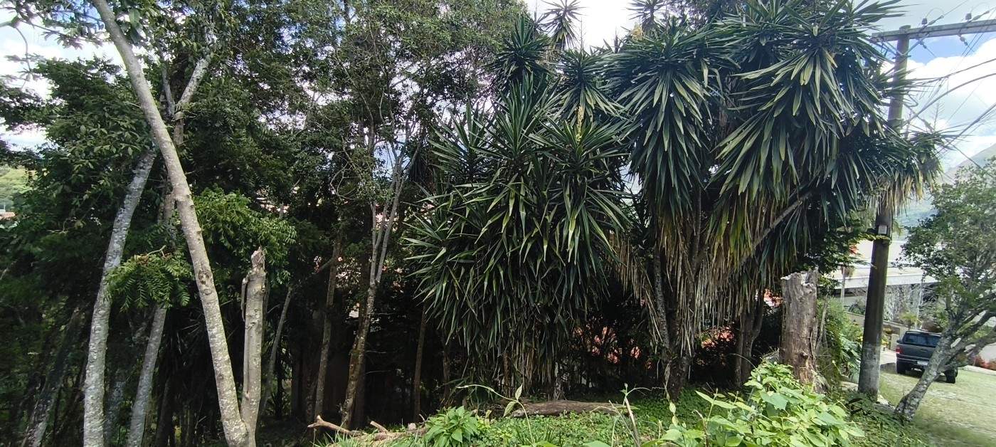 Terreno à venda com 540m² de terreno no Braunes, Nova Friburgo (RJ) — foto 6 de 8