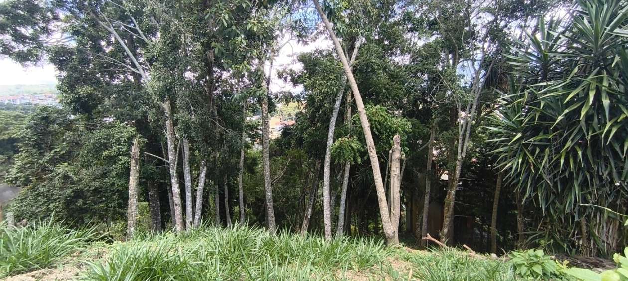 Terreno à venda com 540m² de terreno no Braunes, Nova Friburgo (RJ) — foto 7 de 8