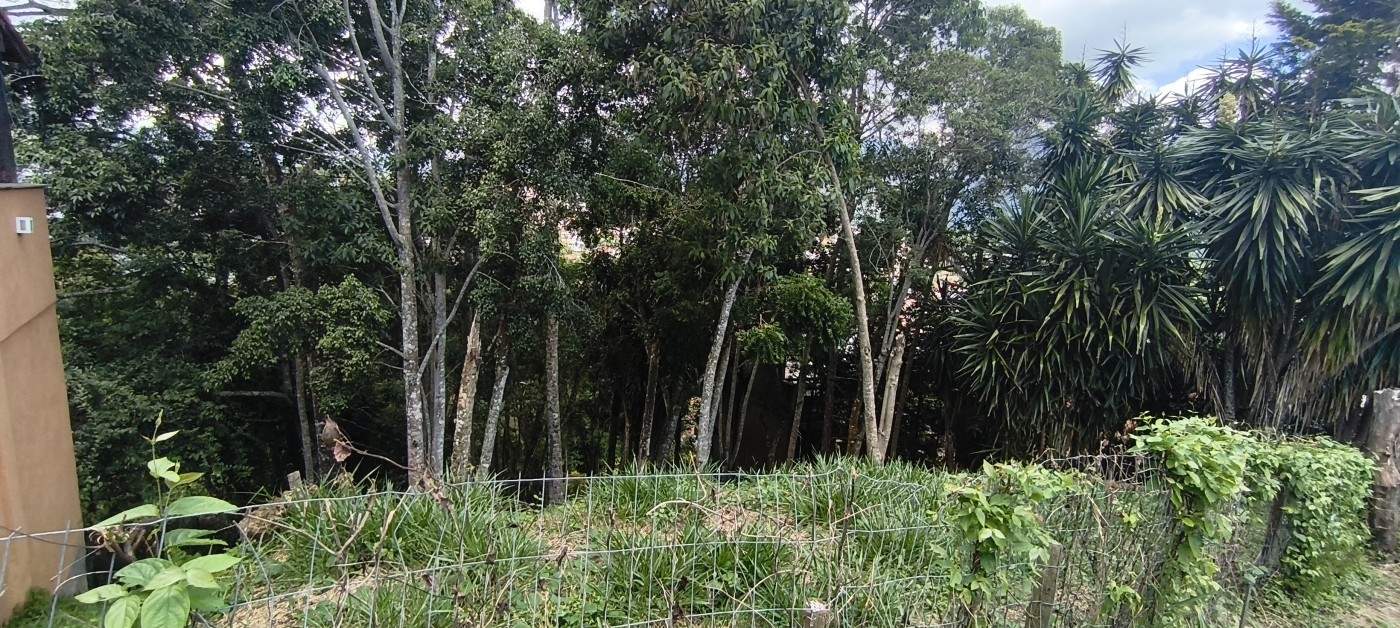 Terreno à venda com 540m² de terreno no Braunes, Nova Friburgo (RJ) — foto 8 de 8