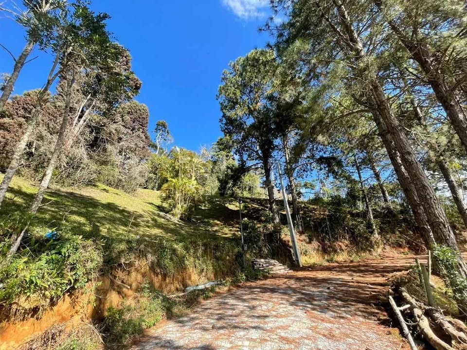 Terreno à venda com 870m² de terreno no Cascatinha, Nova Friburgo (RJ) — foto 5 de 16