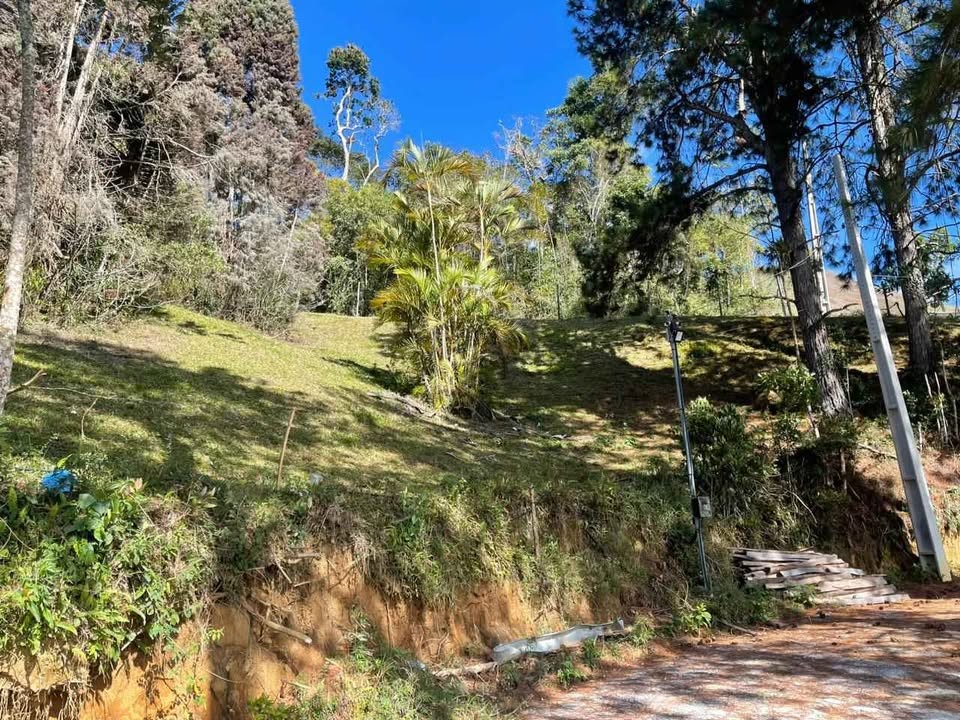 Terreno à venda com 870m² de terreno no Cascatinha, Nova Friburgo (RJ) — foto 3 de 16