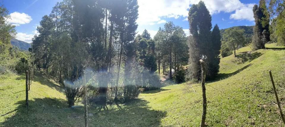 Terreno à venda com 870m² de terreno no Cascatinha, Nova Friburgo (RJ) — foto 2 de 16