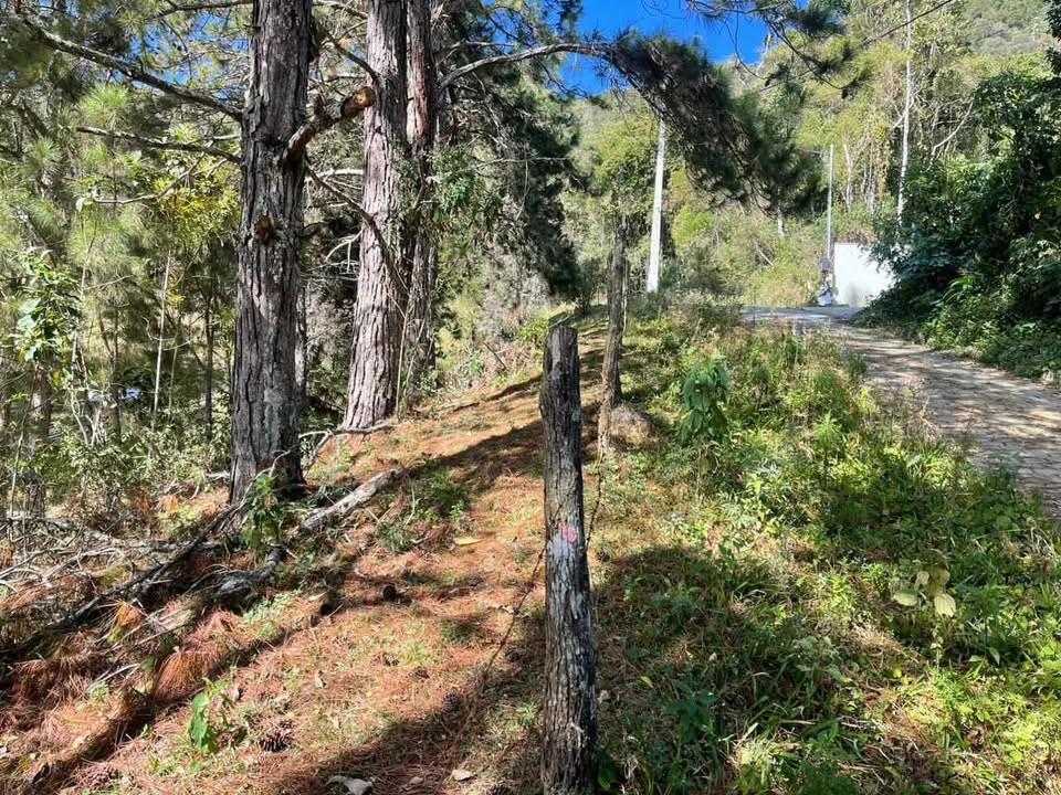 Terreno à venda com 870m² de terreno no Cascatinha, Nova Friburgo (RJ) — foto 6 de 16