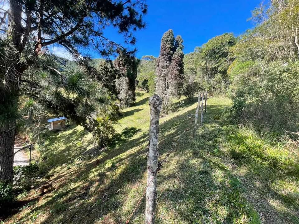 Terreno à venda com 870m² de terreno no Cascatinha, Nova Friburgo (RJ) — foto 10 de 16