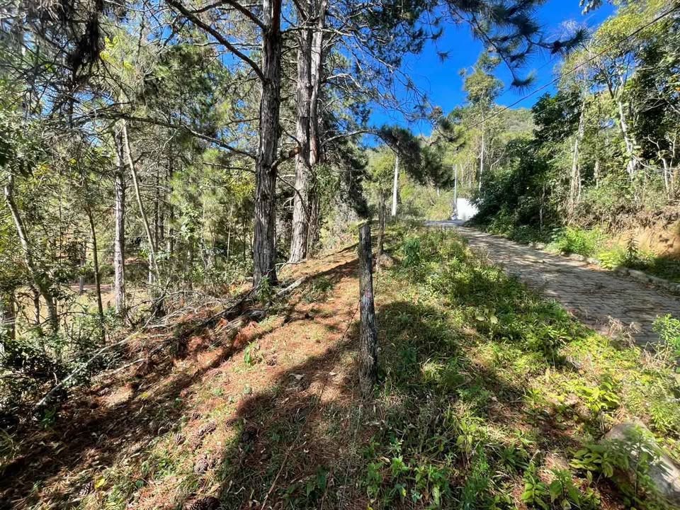 Terreno à venda com 870m² de terreno no Cascatinha, Nova Friburgo (RJ) — foto 13 de 16